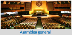 Asamblea general